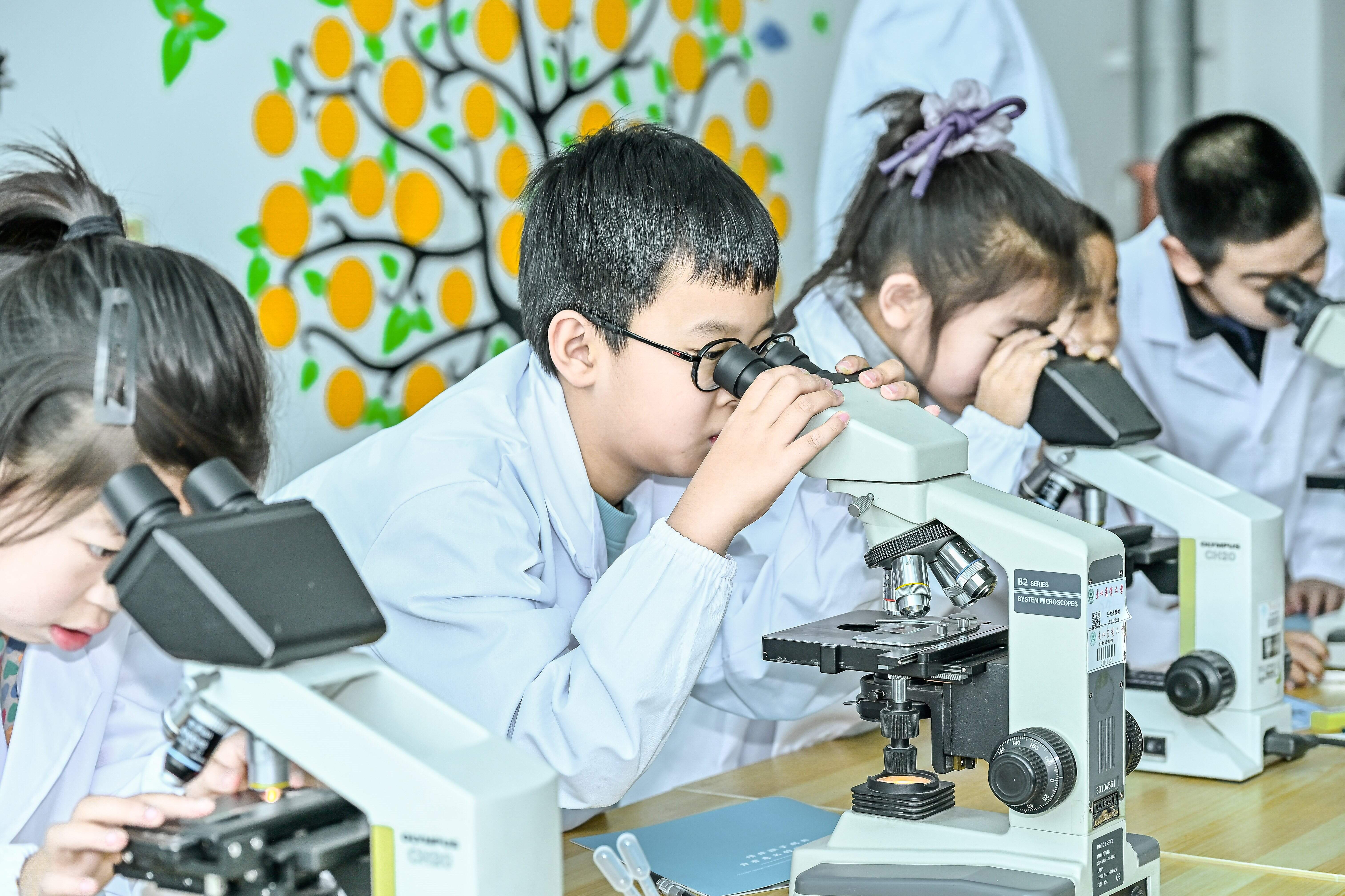 1763808721593838.jpg 1763808721593838.jpg